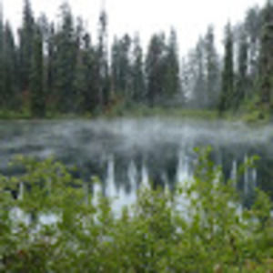 Meet your Posher, Ty